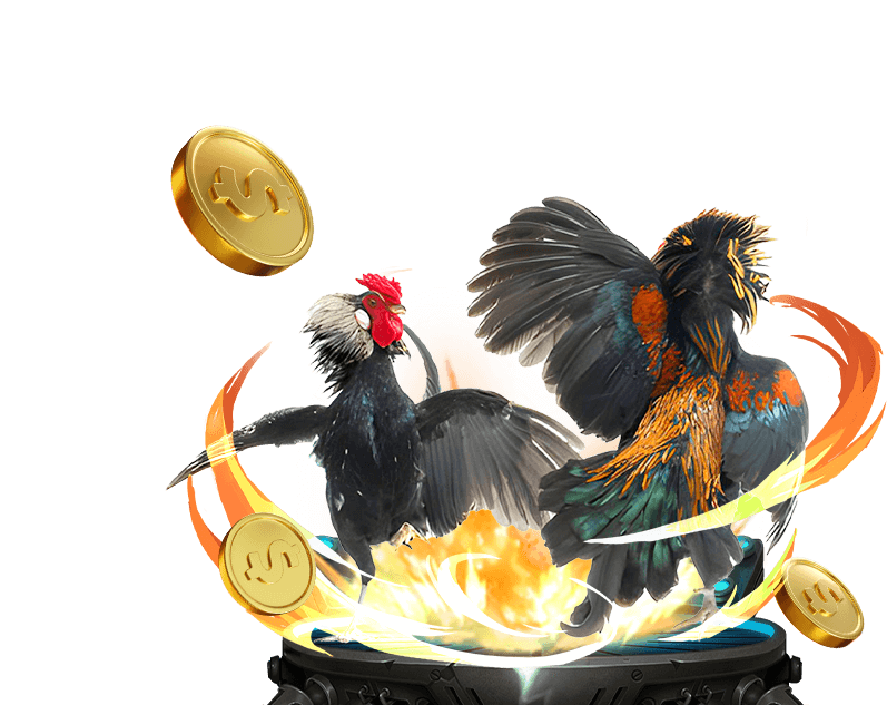 Tỷ lệ hoàn trả và chính sách thưởng